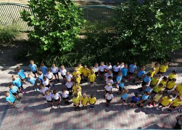 Отзывы