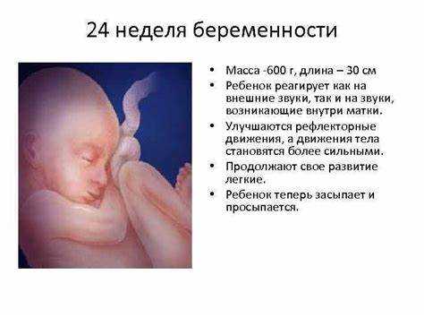 Органы