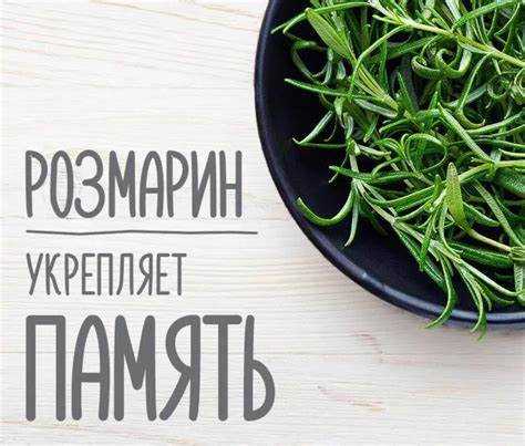 Использование