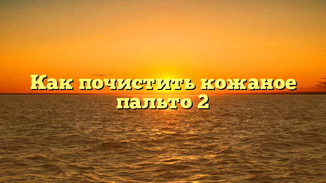 Как почистить кожаное пальто 2